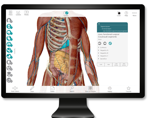 Visible body 3d human anatomy atlas for mac